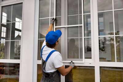 Replacement Windows